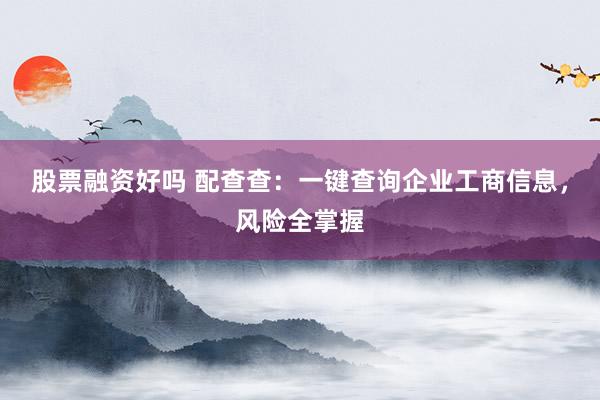 股票融资好吗 配查查：一键查询企业工商信息，风险全掌握