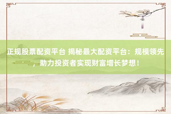 正规股票配资平台 揭秘最大配资平台：规模领先，助力投资者实现财富增长梦想！