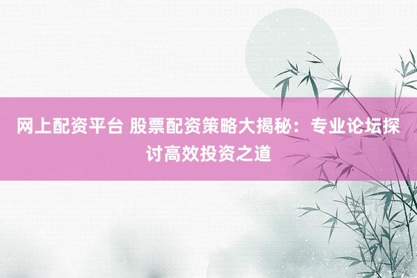 网上配资平台 股票配资策略大揭秘：专业论坛探讨高效投资之道