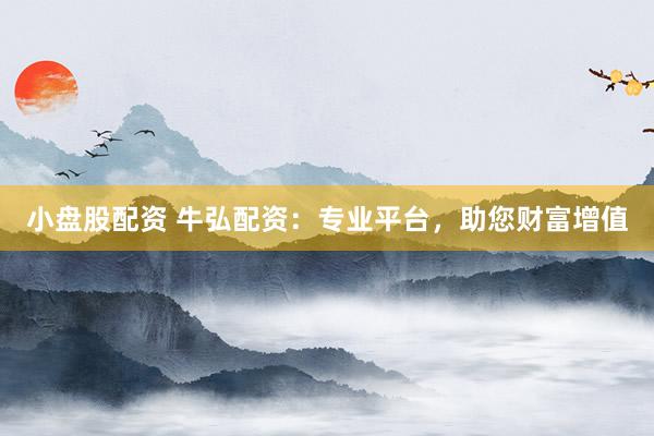 小盘股配资 牛弘配资：专业平台，助您财富增值