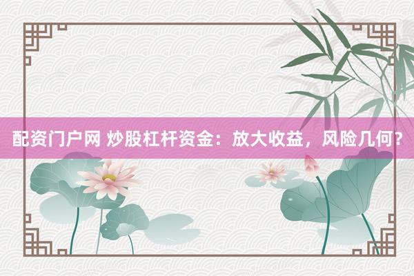 配资门户网 炒股杠杆资金：放大收益，风险几何？