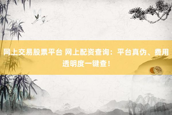 网上交易股票平台 网上配资查询：平台真伪、费用透明度一键查！