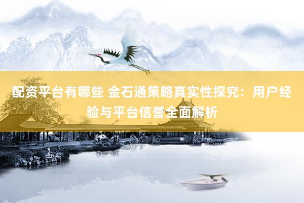 配资平台有哪些 金石通策略真实性探究：用户经验与平台信誉全面解析