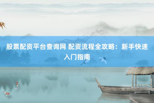股票配资平台查询网 配资流程全攻略：新手快速入门指南