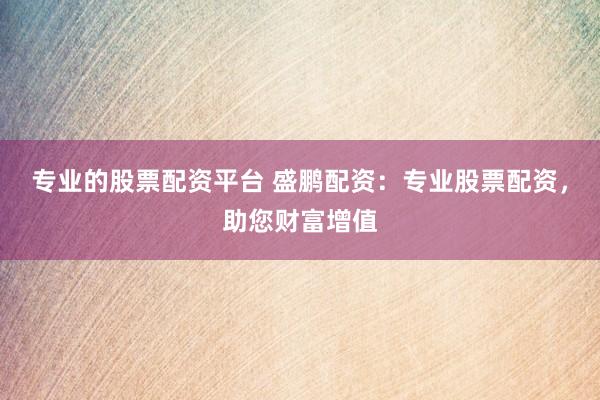 专业的股票配资平台 盛鹏配资：专业股票配资，助您财富增值