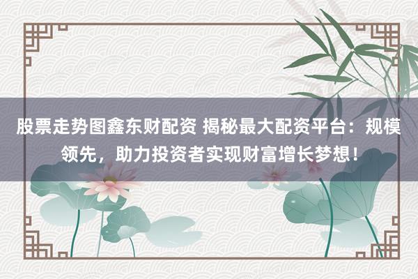 股票走势图鑫东财配资 揭秘最大配资平台：规模领先，助力投资者实现财富增长梦想！