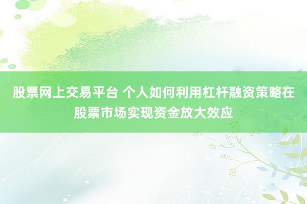 股票网上交易平台 个人如何利用杠杆融资策略在股票市场实现资金放大效应