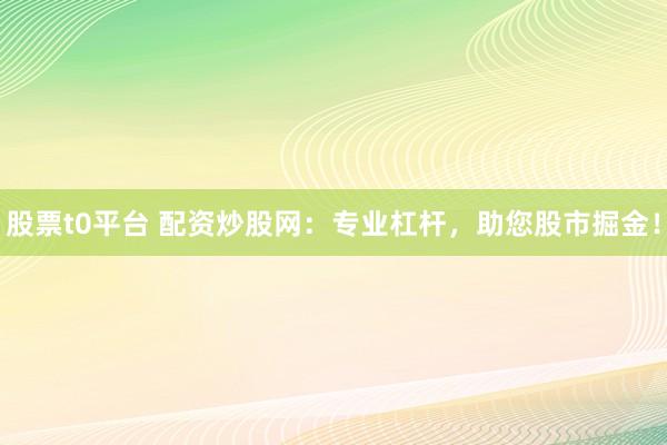 股票t0平台 配资炒股网：专业杠杆，助您股市掘金！