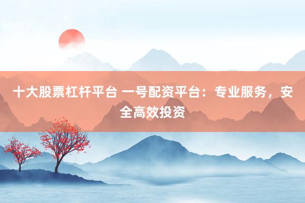 十大股票杠杆平台 一号配资平台：专业服务，安全高效投资