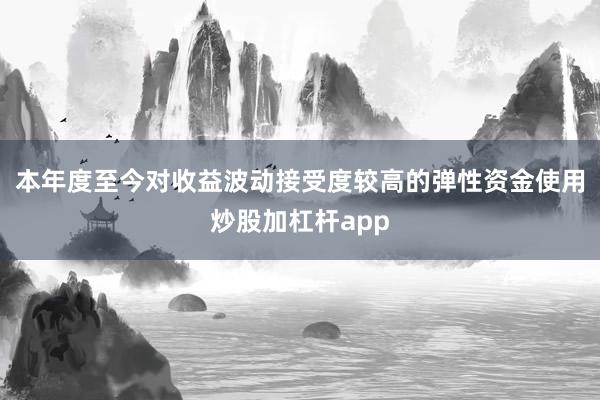 本年度至今对收益波动接受度较高的弹性资金使用炒股加杠杆app