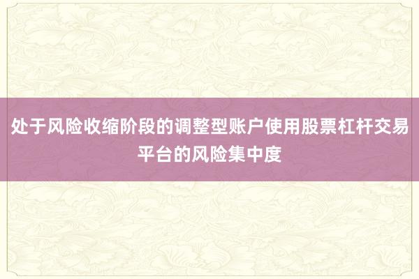 处于风险收缩阶段的调整型账户使用股票杠杆交易平台的风险集中度