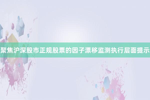 聚焦沪深股市正规股票的因子漂移监测执行层面提示