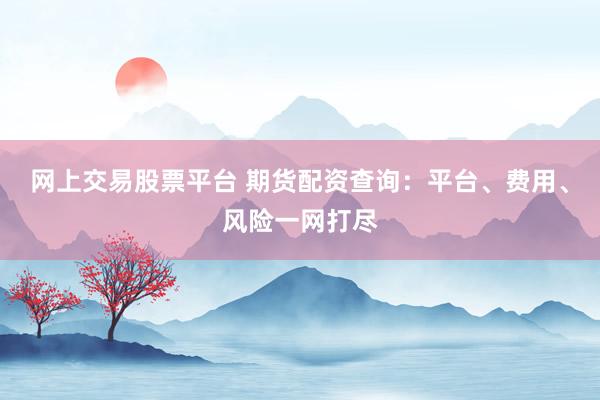 网上交易股票平台 期货配资查询：平台、费用、风险一网打尽