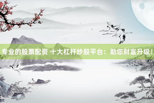 专业的股票配资 十大杠杆炒股平台：助您财富升级！
